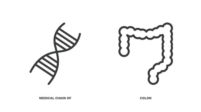 set of medical and healthcare thin line icons. medical and healthcare outline icons included medical chain of dna, colon vector.