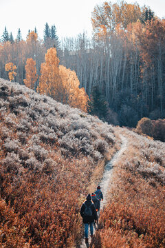 Mother and children hiking through a park in Autumn