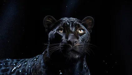 Foto op Canvas Portrait of a black panther on a black background with water drops © Meow Creations