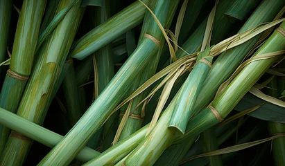 Foto op Canvas a pile of Sugar cane plant on the field closeup © Strabiliante