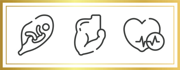 medical icons outline icons set. linear icons sheet included fetus in an uterus, muscular arm, heart black shape vector.