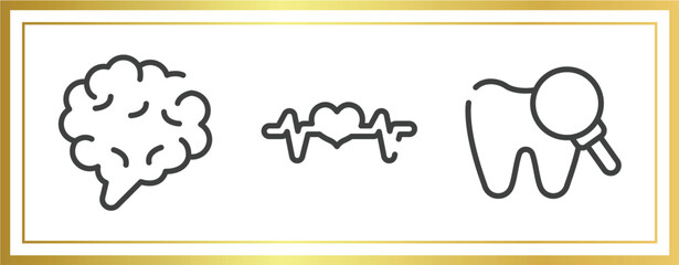 dentist outline icons set. linear icons sheet included brain body organ, pulse line, zoom on tooth vector.