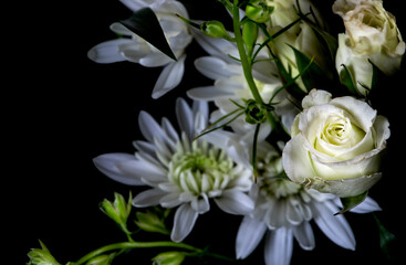 Obraz na płótnie Canvas Bouquet of White Flower Arrangement, with Dark Background