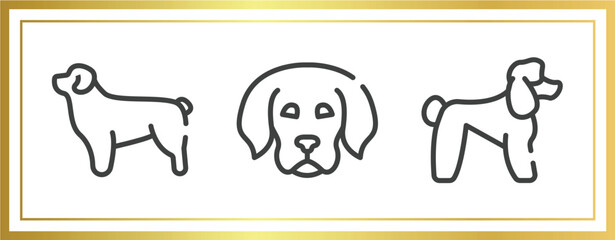 dog and training outline icons set. linear icons sheet included newfoundland, dog puppy, poodle vector.