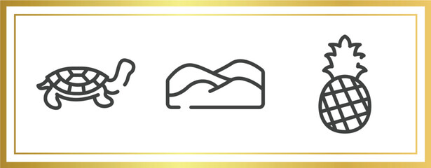 nature outline icons set. linear icons sheet included tortoise, dunes, pine vector.