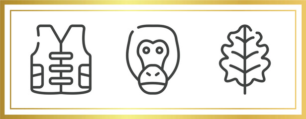 nature outline icons set. linear icons sheet included vest, orangutan, oak leaf vector.