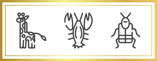 insects outline icons set. linear icons sheet included giraffe, lobster, crioceris vector.