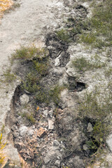 Soil washed out by water. Crack in the ground after heavy rains. Dry crack in the ground