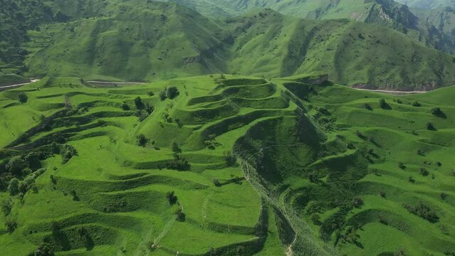 Flying forward over famous green Chokh terraces located in Andalal valley in Dagestan highlands. Aerial view of scenery green hills