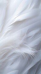 snow white feathers, feathers close up, background texture, abstract. background of feathers, close-up