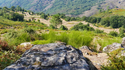 Vue en hauteur d'une zone de montagnes hispaniques ou portugaises, avec un fond bleu de lumière apaisant, ruisseau d'eau, une végétation colorée et torride dense, réflexion lumière, hautes herbes