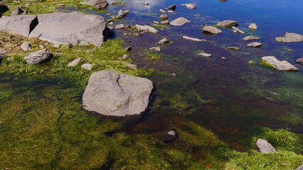 Beau fond d'eau bleu foncée, limpide, propre et transparent, pierre avec de la mousse végétale,...