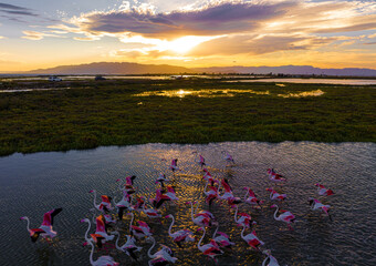 View of delta Ebro, the delta region of the Ebro River in the southwest of the Province of...