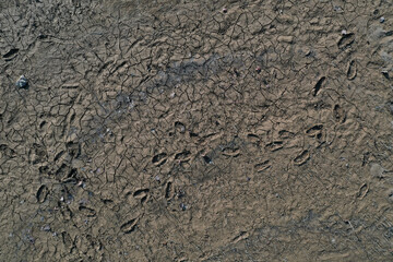 Wet silt weedy ground and footprints garbage texture
