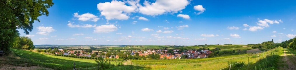 Fototapeta na wymiar View of Rommersheim/Germany in Rheinhessen surrounded by vineyards