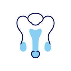 Male Reproductive System Related Vector Line Icon. Isolated on White Background. Editable Stroke