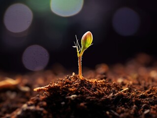 Macro photograph of a single seed sprouting from the soil, capturing the delicate emergence of new life, made with Generative AI