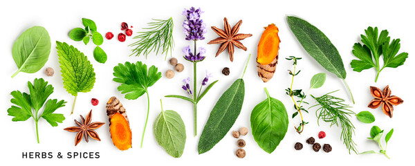Fresh herbs and spices collection isolated on white background.