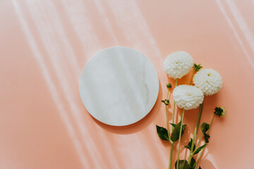 White marble cosmetic podium product design and bouquet of white dahlia flowers on sunny pink background