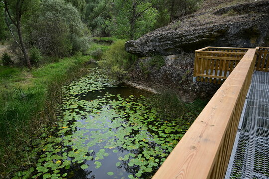 Ca&ntilde;on de Rio Lobos