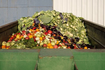 Expired Organic bio waste. Mix Vegetables and fruits in a huge container, Organic Compost heap