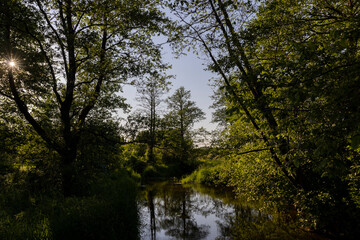 a small river in eastern Europe in the summer