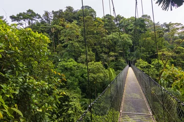 Poster Beautiful views in Arenal Natural Park (Costa Rica)  © julen