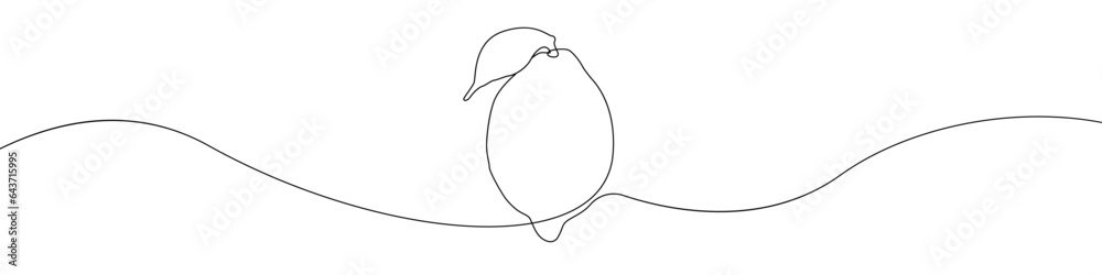 Poster Lemon linear hand drawn vector icon. Vector continuous One line background three lemons. Lemon slice vector icon. Outline citrus lemon continuous line vector.