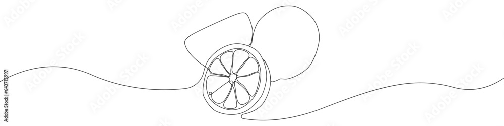 Poster Lemon linear hand drawn vector icon. Vector continuous One line background three lemons. Lemon slice vector icon. Outline citrus lemon continuous line vector.