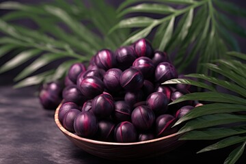 acai, acai isolated, acai powder, acai berry, purple fruit, acai palm, palm, palm tree, palm fruit, acai fruit, blue fruit, 