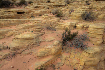 Beautiful layer of land in the Wave, Arizona. Landscape photography - 643727301
