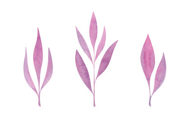 A set of watercolor purple autumn leaves isolated on a white background, hand-drawn. The texture of watercolor on paper. Botanical illustration for design and decoration.