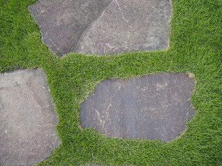 Detail of a stone path across the lawn of a traditional Japanese garden.