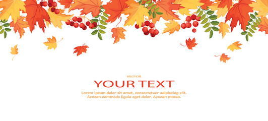 Autumn background with maple leaves and rowan. Seamless border of colorful leaves. Background template with place for your text. Isolated. Vector illustration