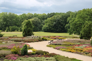Landschaft in der Lüneburger Heide im Heidegarten Schneverdingen