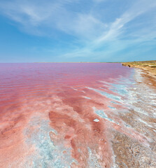 Pink extremely salty Syvash Lake, colored by microalgae with crystalline salt depositions. Also known as the Putrid Sea or Rotten Sea. Ukraine, Kherson Region, near Crimea and Arabat Spit.