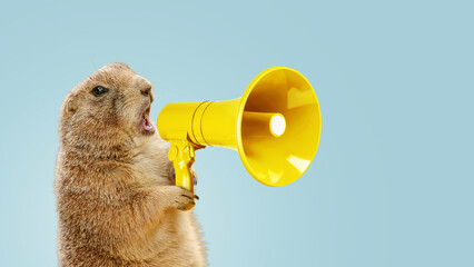 Funny gopher is holding a loudspeaker and screaming on a blue background. Creative idea, management...