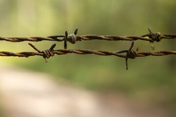 Rusty iron barbed wire against a blurred background