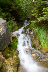Le lac vert et ses environs