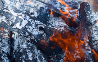 Firewood burning in the brazier, smoldering log coals