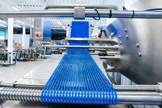 multi belt loader for sliced cheese meat products for production factory plant. Packing food in production line,machine in industrial factory. Dairy