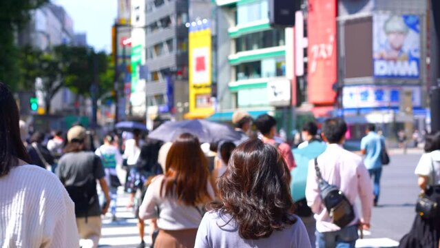 Large crowds of people walking Shibuya's scramble crossing