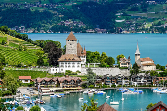 Spiez, Schloss Spiez, Schlosskirche, Stadt, Seeufer, Boote, Hafen, Thunersee, Schifffahrt, Seerundfahrt, Weinberge, Beatenberg, Niederhorn, Aussichtspunkt, Sommer, Schweiz 