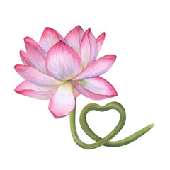 Pink Lotus flower with stem curving in the shape of heart. Delicate blooming Water Lily. Watercolor illustration isolated on transparent background. For wedding design, yoga center