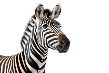 Zelfklevend Fotobehang A Zebra's Portrait isolated on transparent background, Generative AI © rzrstudio