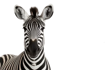 Foto auf Acrylglas Antireflex Closeup zebra head isolated on transparent background, Generative AI © rzrstudio