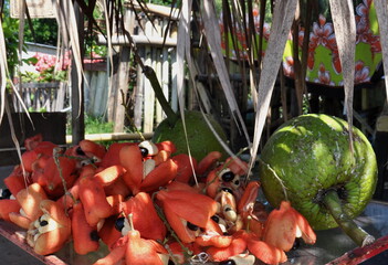 breadfruit, ackee, jamaica, caribbean, national dish, west indies, tropical, meal, food, 