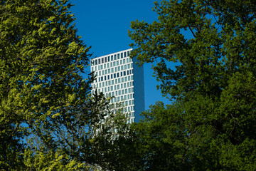 Tall office building towering over trees.