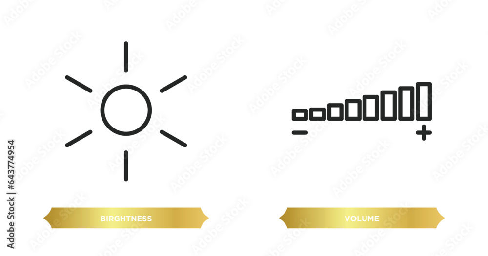 Poster two editable outline icons from user interface concept. thin line icons such as birghtness, volume v