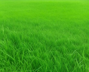 Obraz premium closeup of a green meadow. Generative AI.